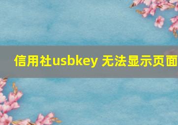 信用社usbkey 无法显示页面